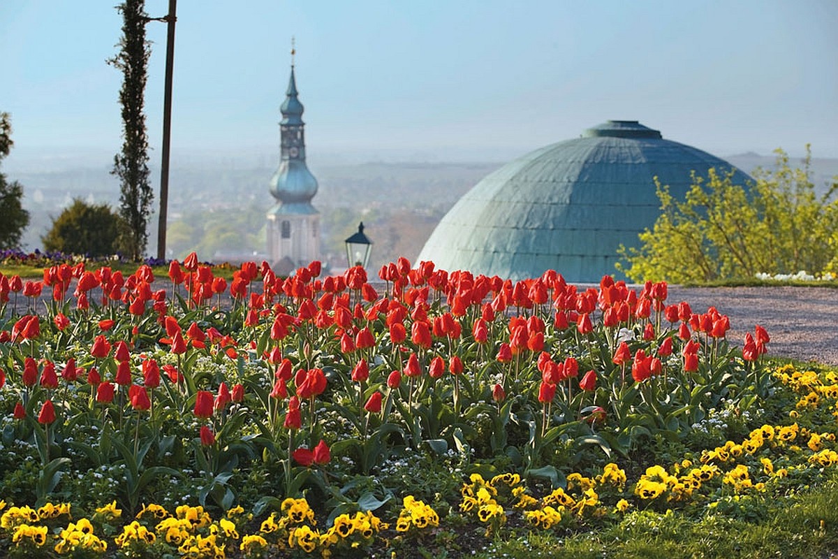 Baden view photo by Lammerhuber