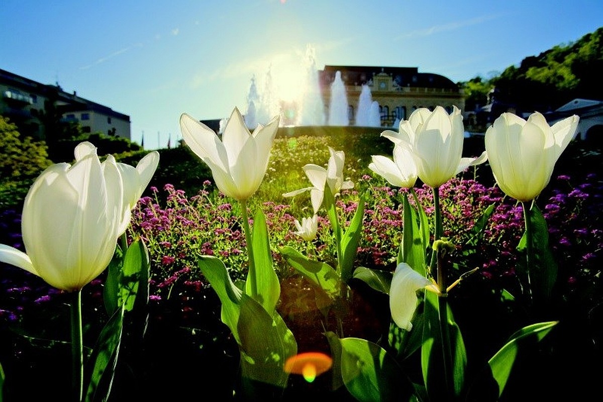 Congress Casino photo by Lammerhuber